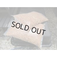 ☆成虫管理ナラ材100％ふかふかマット☆5ℓ×2袋販売！！
