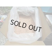☆成虫管理ナラ材100％ふかふかマット☆お得な大箱50ℓ入り販売！！