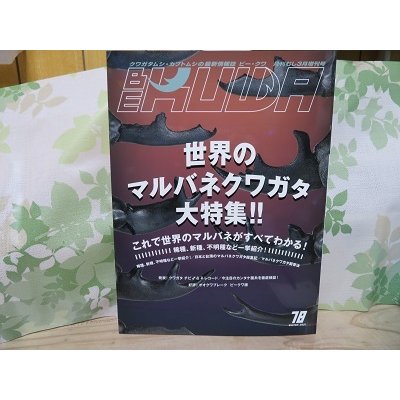 画像1: ☆BE-KUWA78号入荷！！