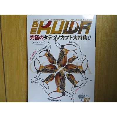 画像1: ☆BE-KUWA82号入荷！！