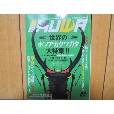 画像1: BE-KUWA83号入荷！！