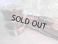 ☆稀少亜種☆D.H.ブリュゼニ初二令幼虫3頭セット販売！！