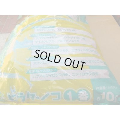 画像2: ☆フォーテック製☆ヒラタ　ノコ1番　10ℓ入り
