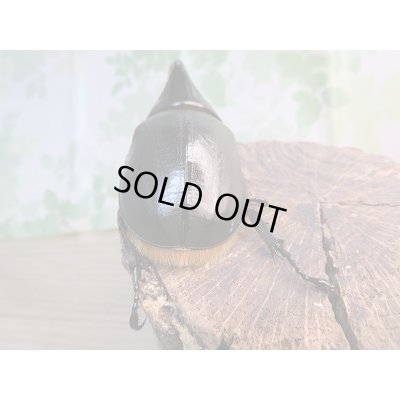 画像3: 人気種!!新成虫☆サタンオオカブト♂79ミリ♀63ミリ+♀55ミリトリオ販売!!