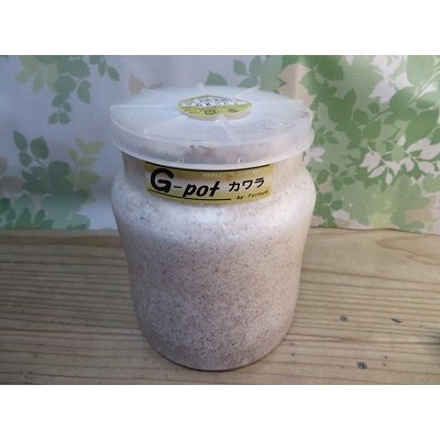 画像1: フォーテック製☆G-potカワラ ☆1500ｃｃ