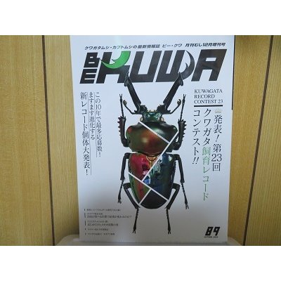 画像1: ☆BE-KUWA89号入荷！！