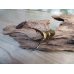 画像5: ☆新成虫☆メタリフェルホソアカクワガタ（サンギレンシス）♂61ミリ♀フリーサイズペア販売！！ (5)