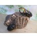 画像5: ☆大型新成虫☆サタンオオカブト♂99ミリ♀フ65ミリペア販売！！ (5)