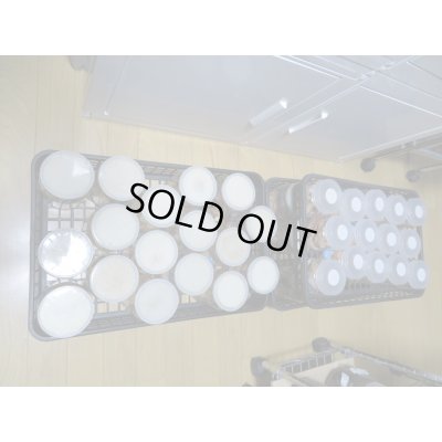 画像6: 北海道産☆天然採集☆ミヤマクワガタ♂64.5ミリ〜69ミリ♀フリーサイズ2ペアセット販売！！