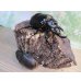 画像5: ☆新成虫☆レックスゾウカブト♂100ミリ♀67ミリペア販売！！ (5)
