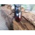 画像3: 新成虫☆ホワイトアイ☆マンディブラリスフタマタクワガタ（赤マンディ）♂70ミリ♀42ミリペア販売！！ (3)
