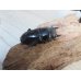 画像4: ☆新成虫☆マリンドッケオオヒラタクワガタ♂91ミリ♀42ミリペア販売！！ (4)