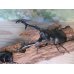 画像2: ☆新成虫☆ギラファノコギリクワガタ（亜種ケイスケ）♂104ミリ♀54ミリペア販売！！ (2)