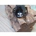 画像3: ☆新成虫☆ギラファノコギリクワガタ（亜種ダイスケ）♂103ミリ♀54ミリペア販売！！ (3)