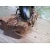 画像3: ☆新成虫☆ギラファノコギリクワガタ（亜種ケイスケ）♂100ミリ♀48ミリペア販売！！ (3)