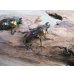 画像3: ☆新成虫☆ ニジイロクワガタ♂♀フリーサイズペア販売！！ (3)