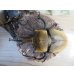画像2: ☆新成虫☆エレファスゾウカブト♂111ミリ♀70ミリペア販売！！ (2)