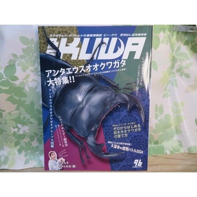 画像1: 新刊☆BE-KUWA96号入荷！！