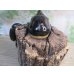 画像3: ☆新成虫☆ネプチューンオオカブト♂117ミリ♀65ミリペア販売！！ (3)