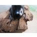 画像3: ☆新成虫☆ユーリケファルスヒラタクワガタ♂63ミリ♀フリーサイズペア販売！！ (3)