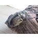 画像4: ☆大型新成虫☆グラントシロカブト♂76ミリ♀52ミリペア＋♀50ミリ計3頭トリオ販売！！