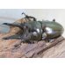 画像2: ☆美麗新成虫☆ババオウゴンオニクワガタ♂70ミリ♀46ミリペア＋♀46ミリ計3頭トリオ販売！！ (2)