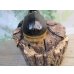 画像3: ☆大型新成虫☆サタンオオカブト♂102ミリ♀60ミリ別血統ペア販売！！ (3)