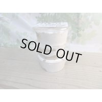 稀少産地☆WF2☆モセリオウゴンオニクワガタ幼虫3頭セット販売！！