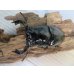 画像2: 新成虫☆タランドゥスオオツヤクワガタ♂75ミリ♀52ミリペア販売！！ (2)