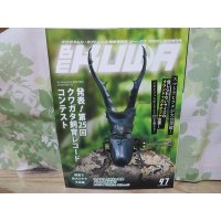 新刊☆BE-KUWA97号入荷！！