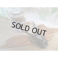 ギラファノコギリクワガタ（亜種ケイスケ）初二令幼虫3頭セット販売！！