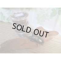 ☆WF4☆イキヒラタクワガタ初二令幼虫4頭セット販売！！