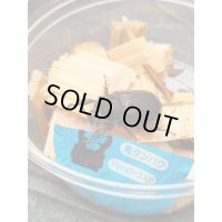 ☆F4☆バラタスサスマタサイカブト初二令幼虫9頭＋1頭の計10頭セット販売！！