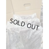 INSECT・MUSEより入荷☆バクテリア材☆多産物語！！S材3本入り