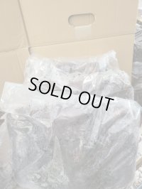 INSECT・MUSEより入荷☆バクテリア材☆多産物語！！S材3本入り