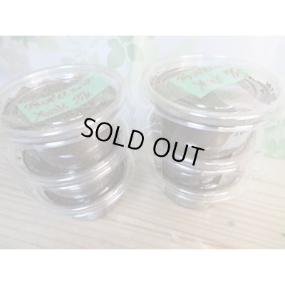 画像1: ☆ミャンマー産☆グランディスオオクワガタ初二令幼虫3頭セット販売！！