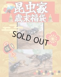 昆虫家☆歳末福袋2025☆15万円コース販売！！
