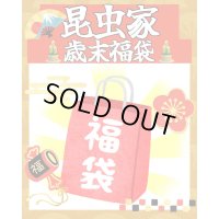 昆虫家☆歳末福袋2025☆1万5000円Bコース販売！！