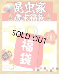 昆虫家☆歳末福袋2025☆1万5000円Cコース販売！！