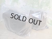 INSECT・MUSEより入荷☆バクテリア材☆多産物語！！M〜L材2本入り