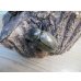 画像5: ☆新成虫☆グラントシロカブト♂70ミリ♀50ミリペア＋♀50ミリ計3頭トリオ販売！！ (5)