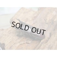 稀少種☆WF3☆カツラオオクワガタssp♂30.2ミリ♀25.3ミリ新成虫ペア販売！！