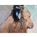 画像3: ☆新成虫☆ギラファノコギリクワガタ（原名亜種）♂92ミリ♀42ミリペア販売！！ (3)