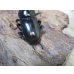 画像3: 新成虫☆F6☆デレリクトゥスコクワガタ♂40ミリ♀フリーサイズペア販売！！ (3)