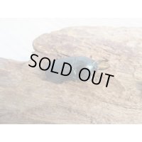 no.2☆F3☆インスラリスキンイロクワガタ♂♀フリーサイズ新成虫ペア販売！！