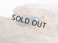 no.2☆F3☆インスラリスキンイロクワガタ♂♀フリーサイズ新成虫ペア販売！！