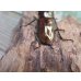 画像3: ☆新成虫☆メタリフェルホソアカクワガタ（サンギレンシス）♂76ミリ♀フリーサイズ別血統ペア販売！！ (3)