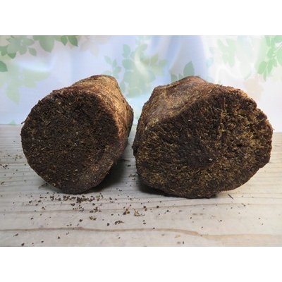 画像3: new!バクテリア材⚡産だぁーV⚡ML材2本入り