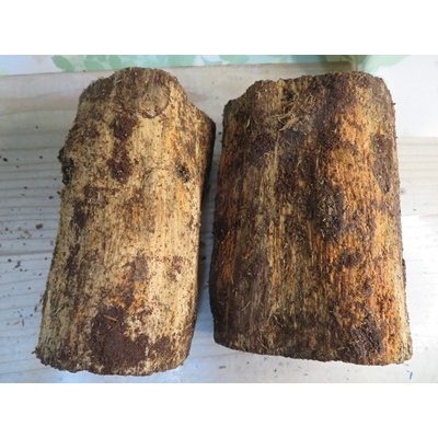 画像2: new!バクテリア材⚡産だぁーV⚡ML材2本入り