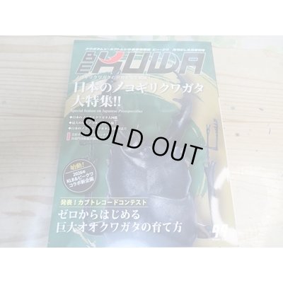 画像1: ☆BE-KUWA99号入荷！！